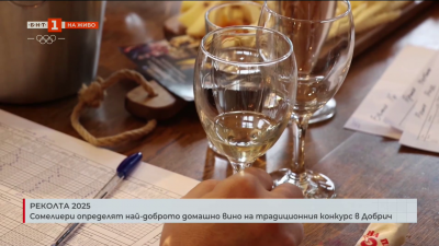 Сомелиери определят най-доброто домашно вино в Добрич