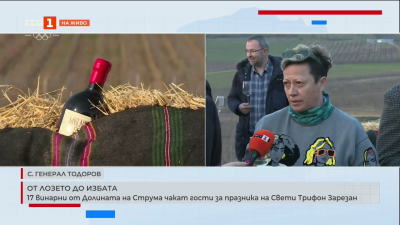 17 винарни от Долината на Струма чакат гости за празника на Свети Трифон Зарезан