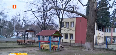 Опасни клони в детска градина