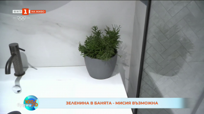 Растенията, които са най-подходящи за банята