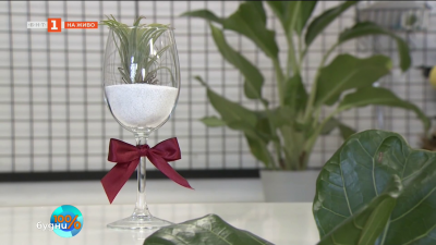 Подарък от сърце за 8 март