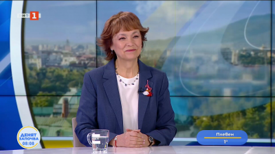 Росица Матева: Нормално върви координацията между изпълнителната власт и ЦИК