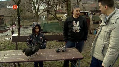 Изложбено животновъдство с една огън жена от село Пожарево