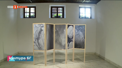 Изложба Корени събира произведения на български и чуждестранни артисти в Стария Пловдив