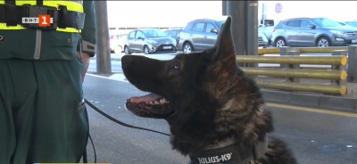 Обучени кучета помагат на граничните полицаи