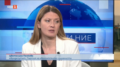 Предизвикателствата пред енергетиката на ЕС - коментар на Цветелина Пенкова