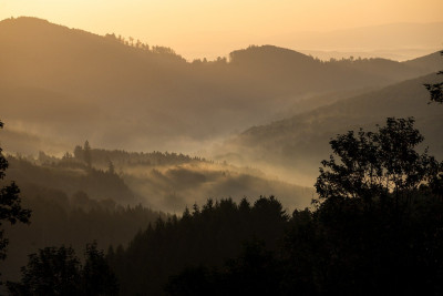 Сутрешни мъгли и слънчево време в петък 