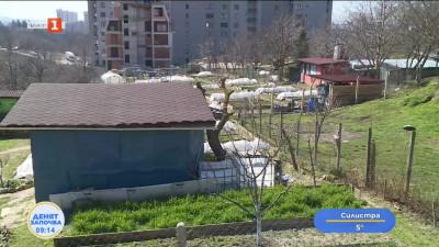 Градина в града