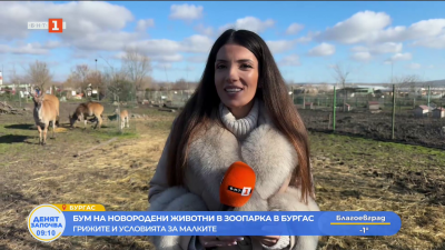 Нови попълнения в зоопарка в Бургас