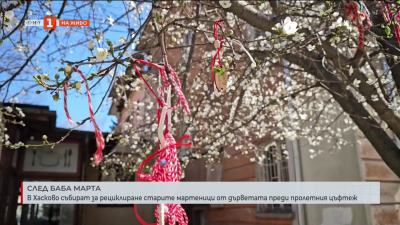 В Хасково събират за рециклиране старите мартеници от дърветата 