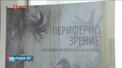 Изложбата “Периферно зрение” на Явор Костадинов в галерия “Ракурси”