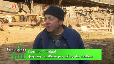 Фермата на Петко Петков в с.Железна, общ. Чипровци