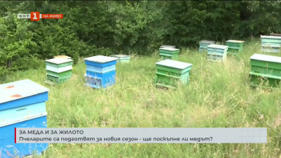 Пчеларите са подготвят за новия сезон. Ще поскъпне ли медът? 