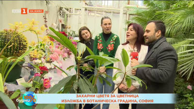Захарни цветя за Цветница - изложба в Ботаническата градина в София