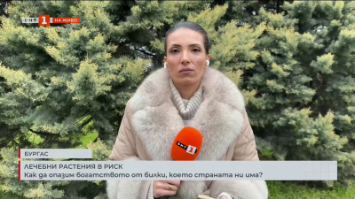 Как да опазим богатството от билки, което страната ни има?