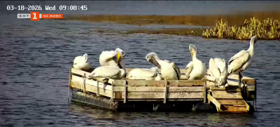 Резерватът „Сребърна” е с енергийно независима база