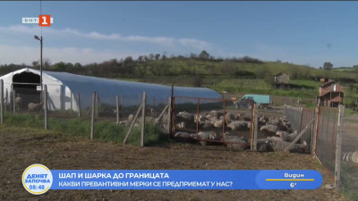 Шап и шарка до границата. Какви предпазни мерки се взимат у нас?