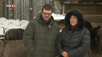 Ферма за магарета в с.Ярлово, общ. Самоков