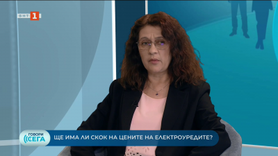 Ще има ли скок на цените на електроуредите - Габриела Чифличка