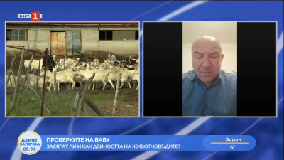 Бойко Синапов: България е един разграден двор за некачествени храни