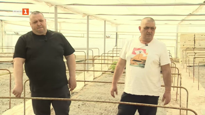 Оранжерията на Емил и Кирил Манчеви в гр.Кресна