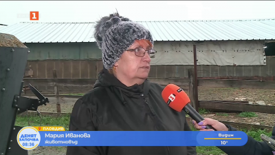 Недостиг на българско агнешко месо преди Великден 