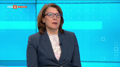 Изборите в Унгария: какво обещава Петер Мадяр