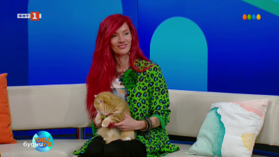 Международна изложба на котки в София