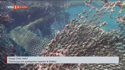 Къде сме ние? Пътища от рибарски мрежи в Хавай