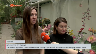 Уникална изложба съчетава цветя и сладкарство в Ботаническата градина на БАН