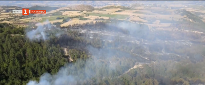Какво е оборудването на горските служители и с какво те гасят на терен в екстремните условия