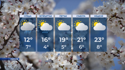 С валежи и в сряда