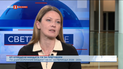 ЕП определи мандата си за преговори по дългосрочния бюджет на ЕС 