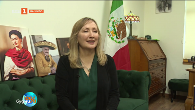 „Шепотът на пчелите“ - история от Мексико, която докосна света