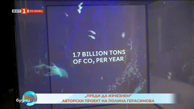 Преди за изчезнем - авторски проект на Полина Герасимова