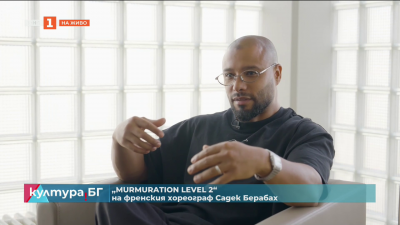 Murmuration Level 2 на френския хореограф Садек Берабах