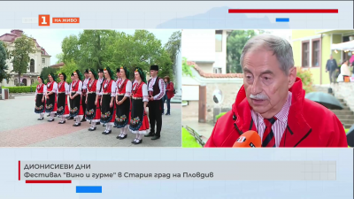 Фестивал „Вино и гурме“ в Стария град на Пловдив 