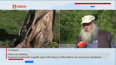Алексей Алексиев създава изкуство върху стволовете на изсъхнали дървета