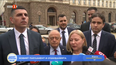 Надежда Йорданова, ДБ: Разделението на ПП-ДБ е политическа грешка