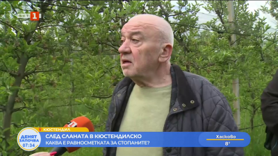 След сланата в Кюстендилско: Каква е равносметката за стопаните