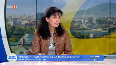 В кадър: Айсберг в залива Емона