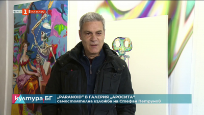 Paranoid - самостоятелна изложба на Стефан Петрунов в галерия „Аросита“