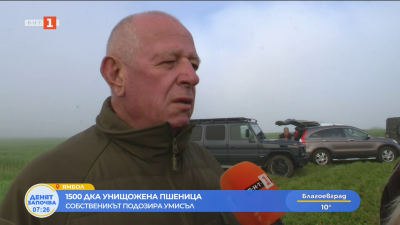 Пореден удар срещу български фермер: Унищожиха близо 1 500 дка, засети с рапица и пшеница