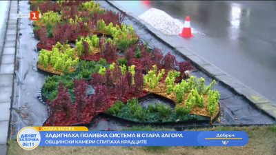 Видеонаблюдение в Стара Загора засне мъже, които демонтират поливната система