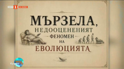 Размислите на Пламски за мързела