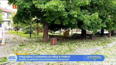 Градушка с размерите на яйце удари Трявна