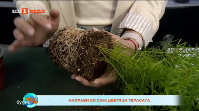 Направи си сам: цветя за терасата