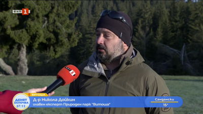 След нападението от мечка на Витоша - мерките за обезопасавяне на района