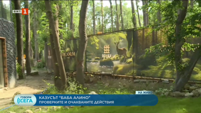 Днес изтича срокът за премахване на оградата на Баба Алино