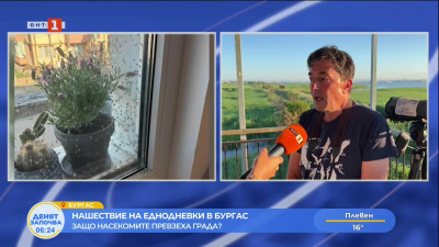 Нашествие на еднодневки в Бургас
